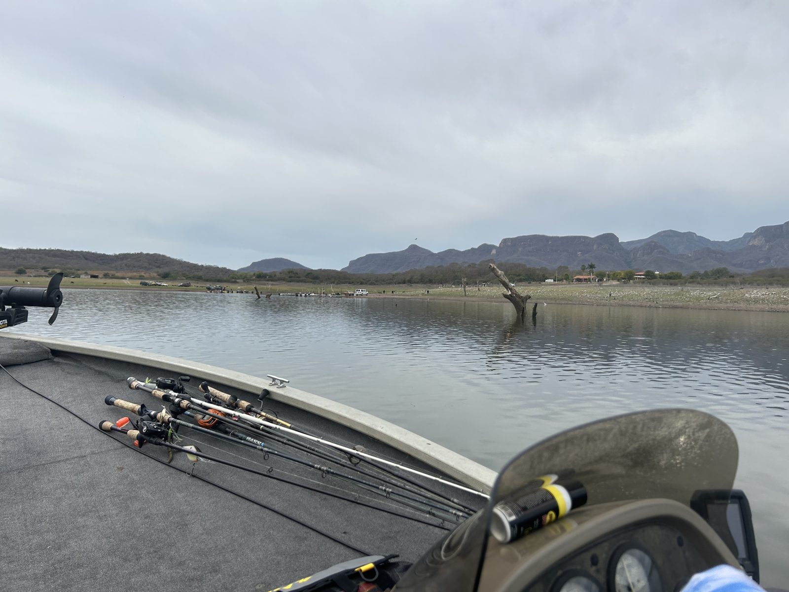 A few days of big bass, photo 2