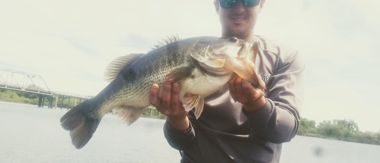 The biggest bass, photo 5