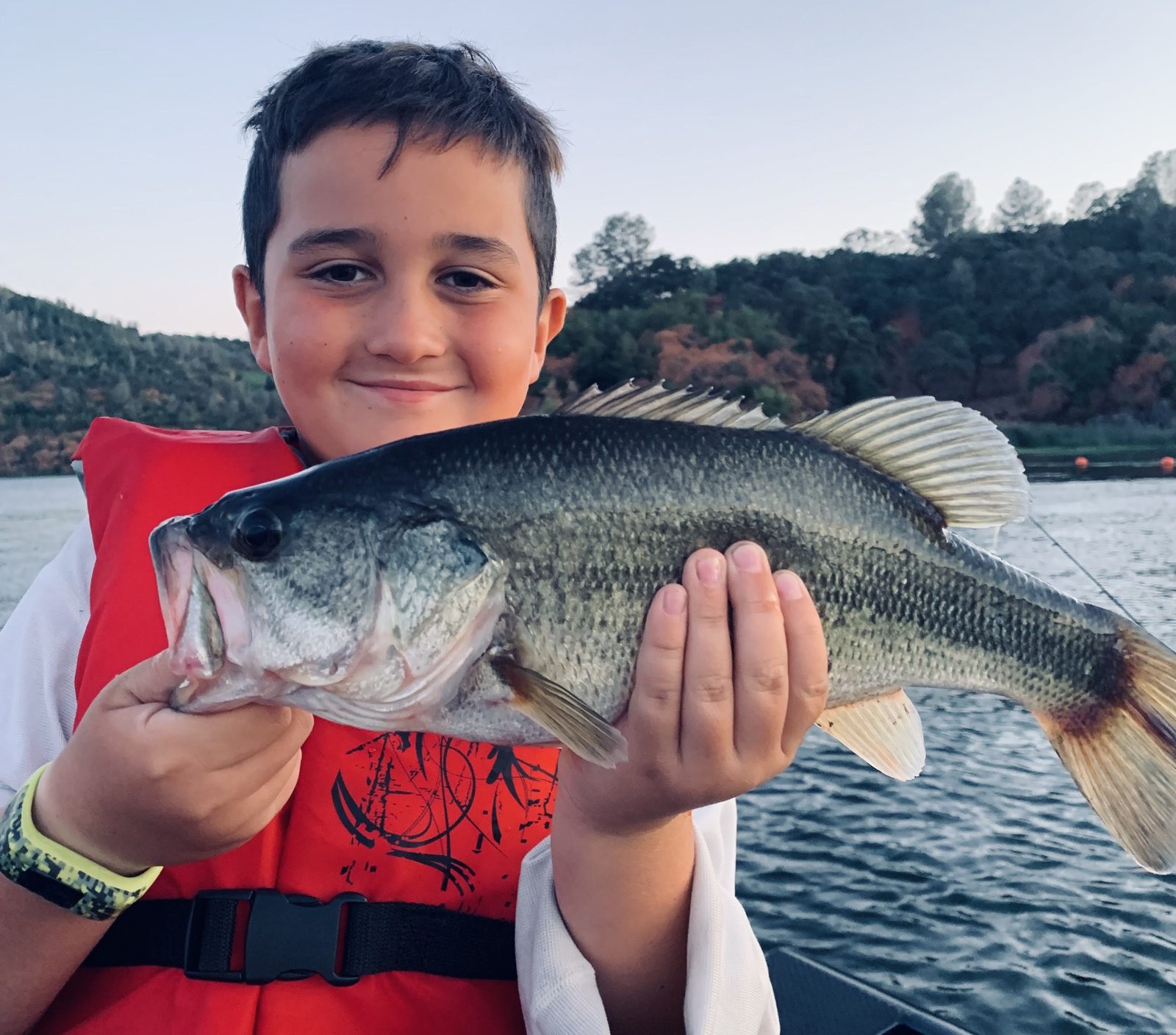 The biggest bass, photo 6