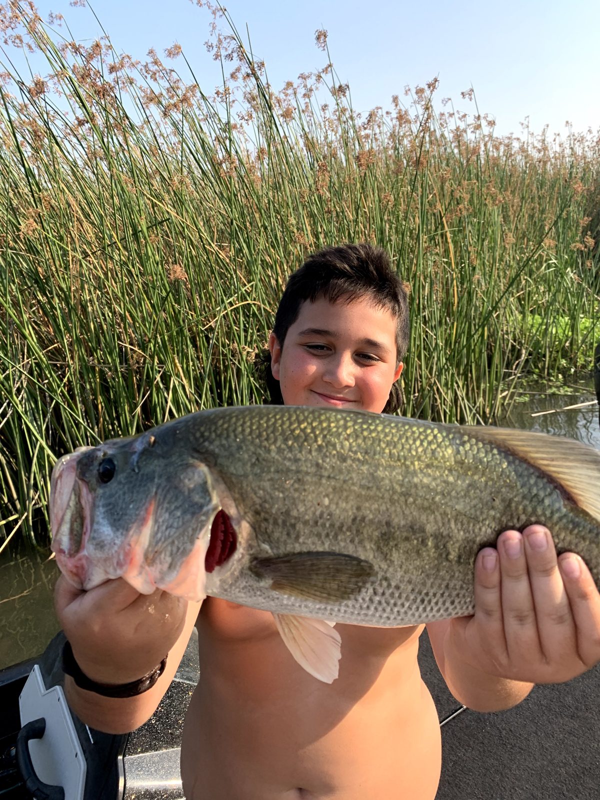 The biggest bass, photo 7