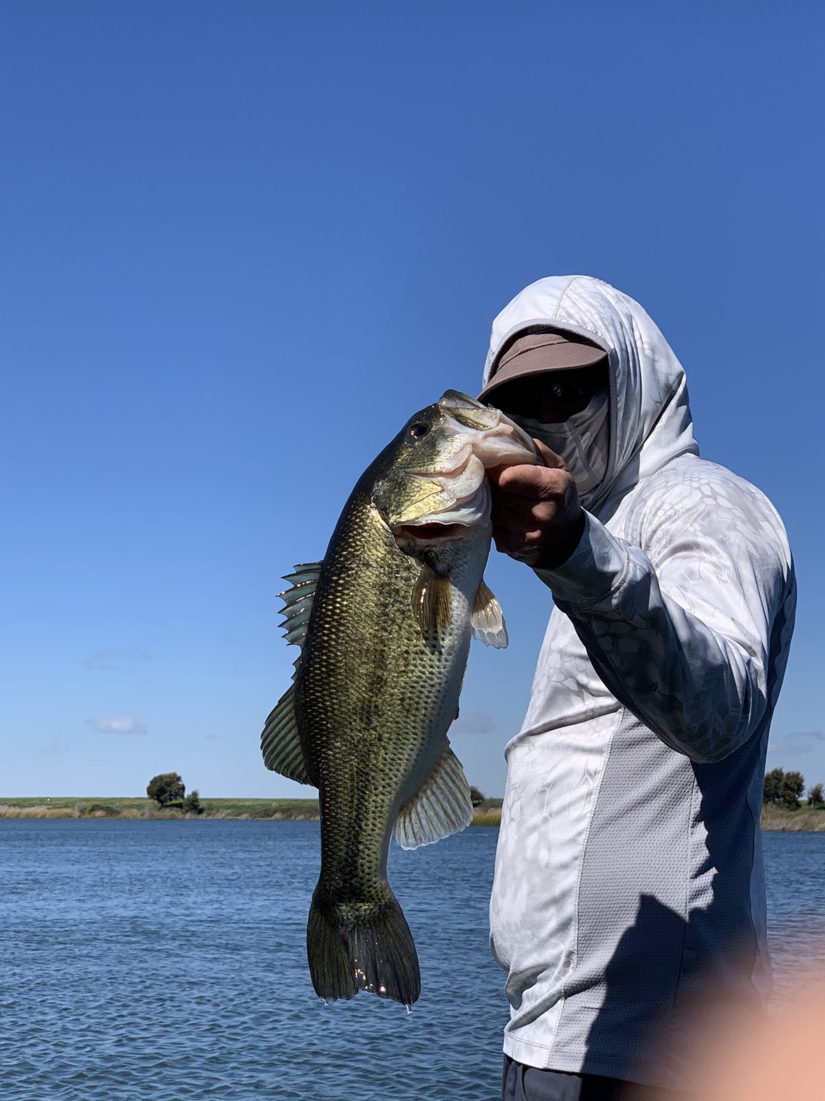 The biggest bass, photo 13