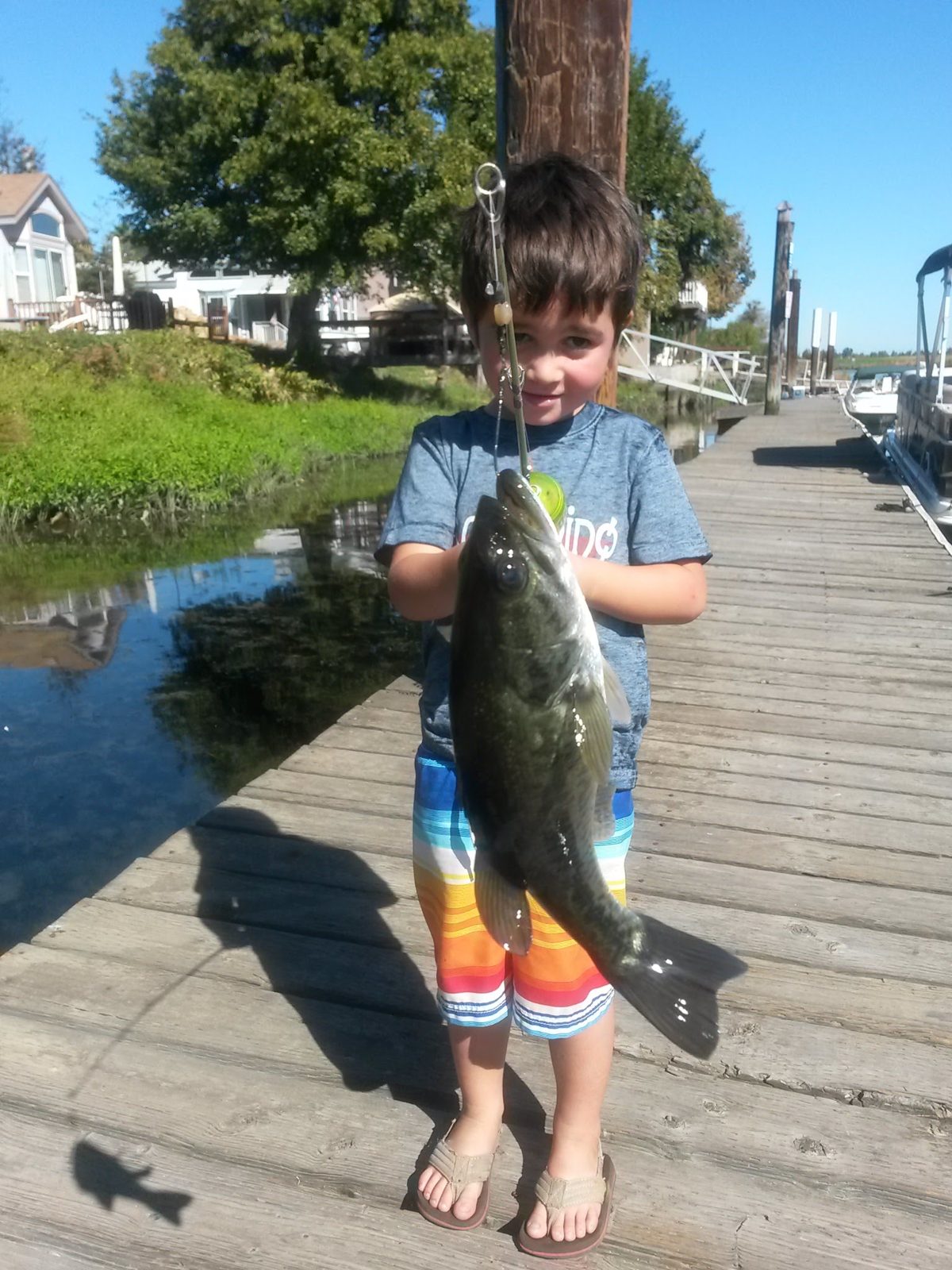 The biggest bass, photo 15