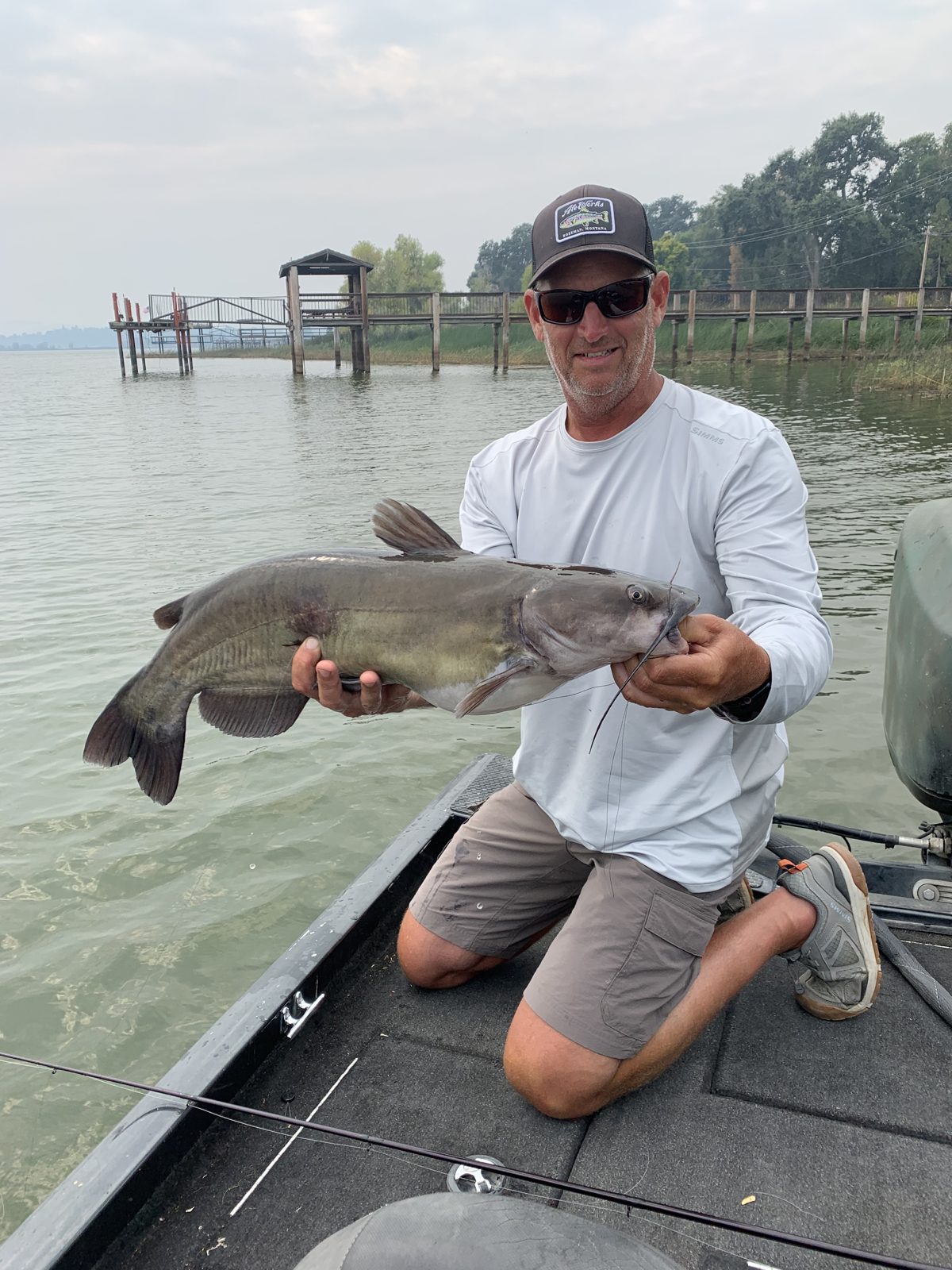 A catfish morning, photo 1