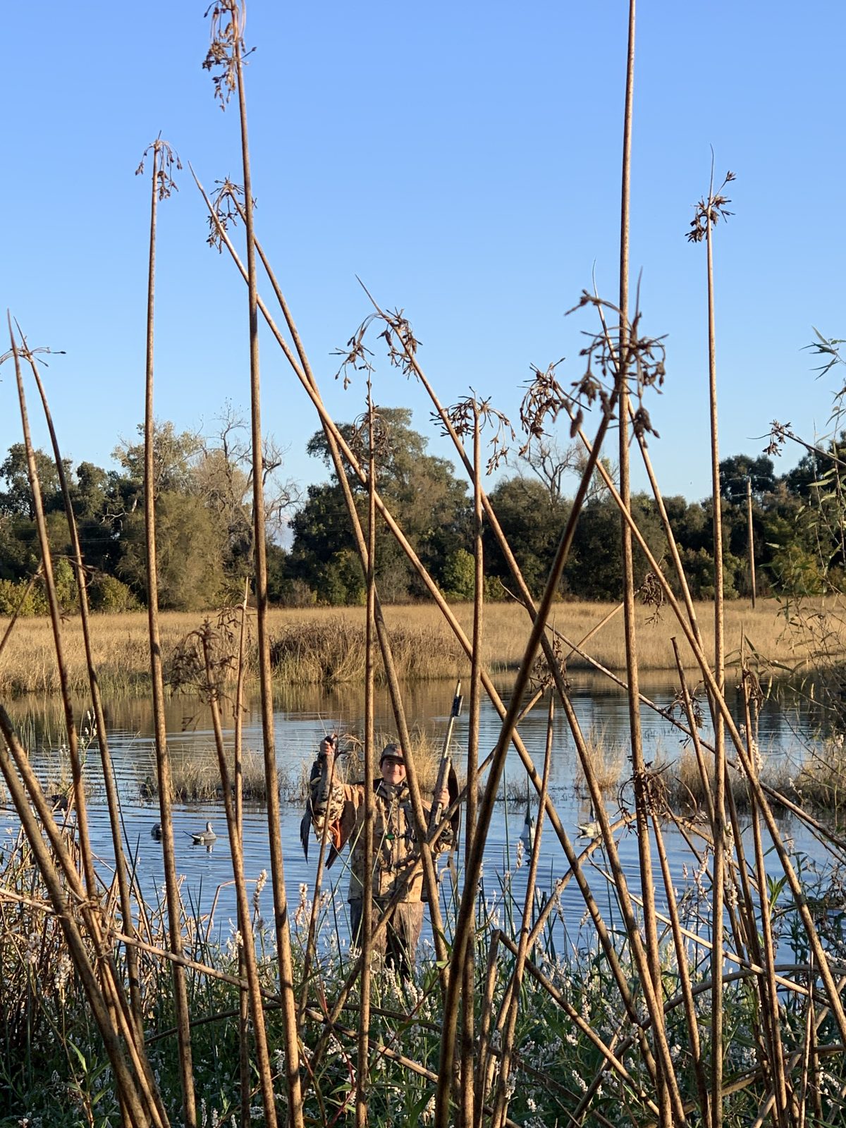 Duck season, photo 3