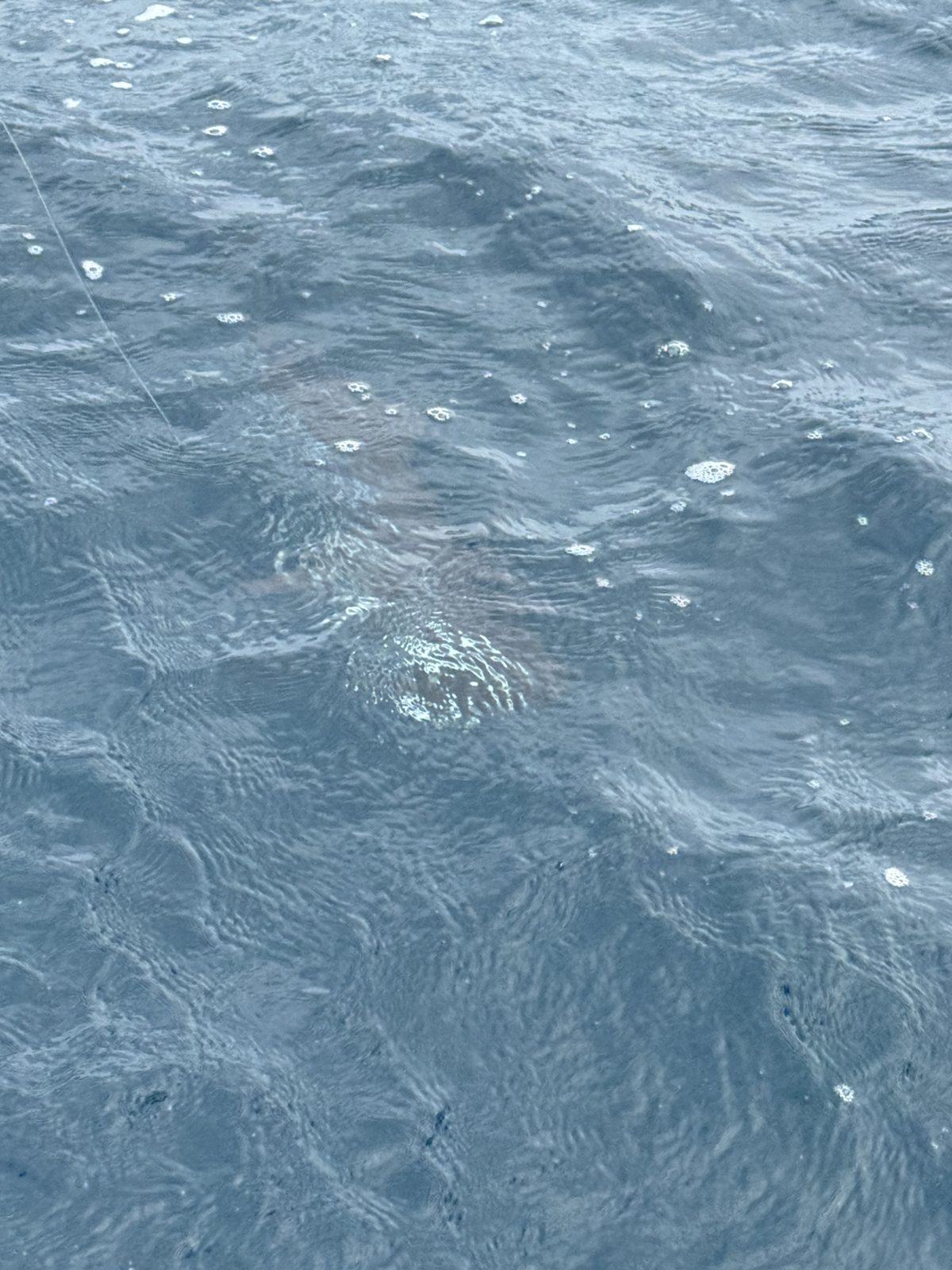 An offshore day, photo 1