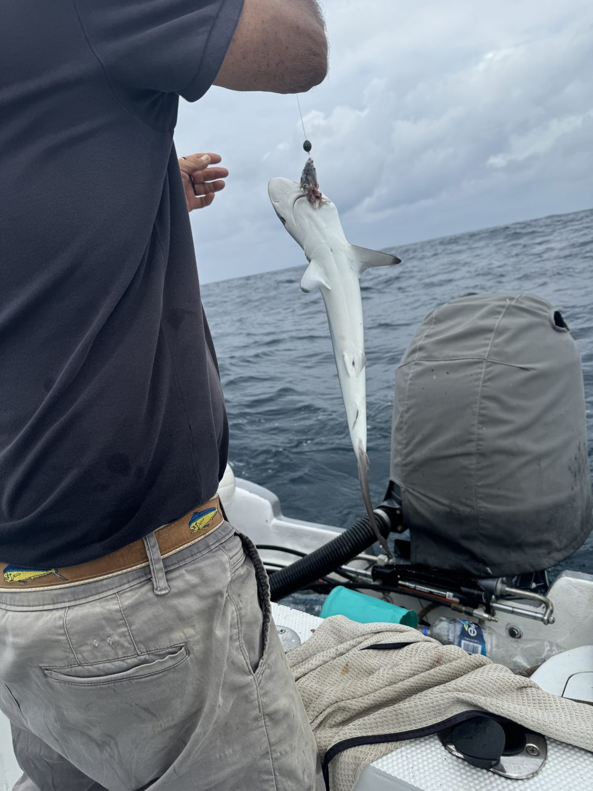 An offshore day, photo 2