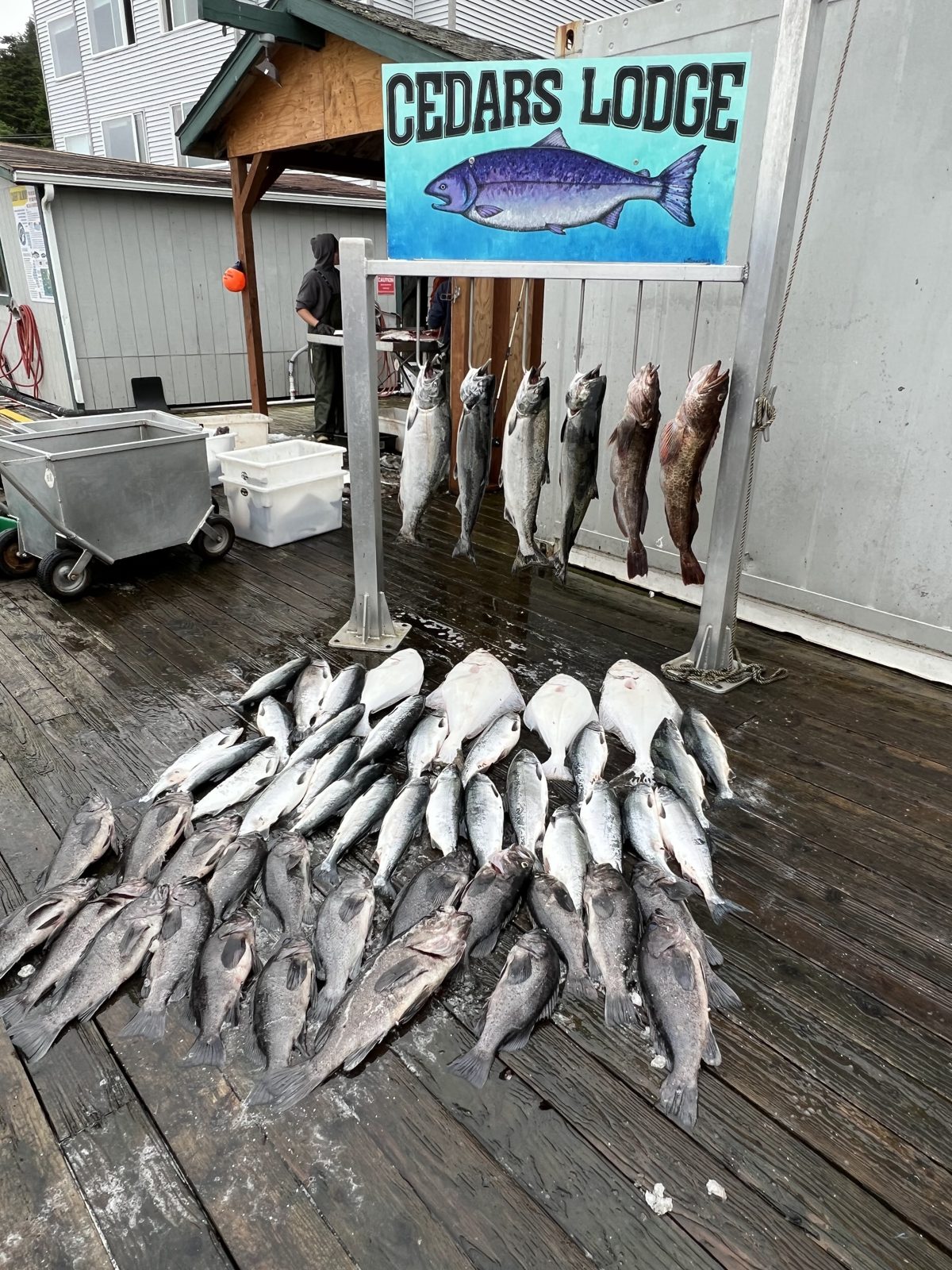 A salmon trip, photo 4