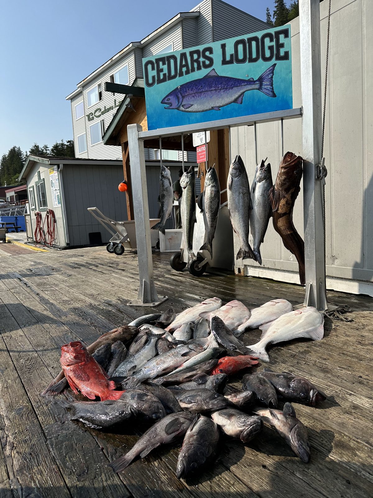 A salmon trip, photo 5